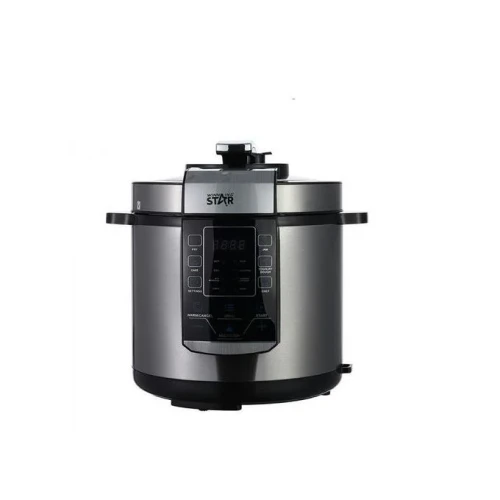 Winningstar Pressure Rice Cooker With Touch Pad Panel- Silver.