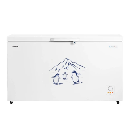 Hisense 550 liter Chest Freezer | FC-55DD4SA