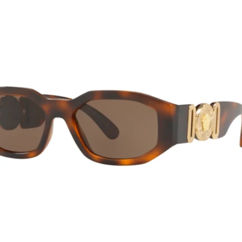 Versace Meṅdusa Biggie VE sunglasses