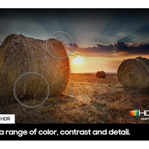 Samsung 43" Q60D QLED TV 2024 Model: