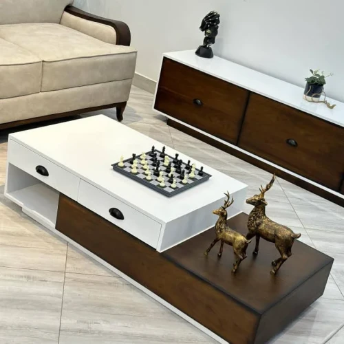 Modern Elegant Set of centre table and Tv stand