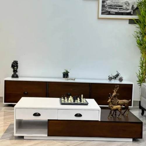 Modern Elegant Set of centre table and Tv stand