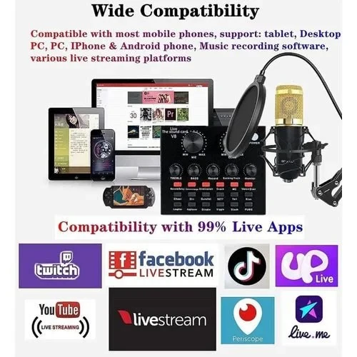 Professional Condenser Microphone