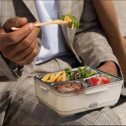 GreenLion Lunchbox