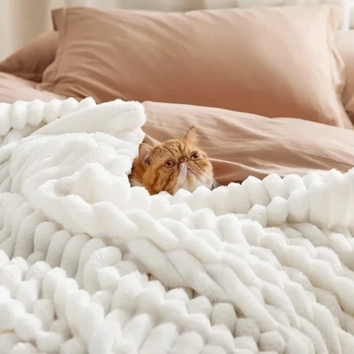 Soft white throw blanket from Bedsure!