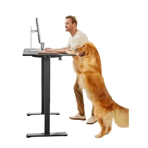 Electric Height Adjustable Laptop Standing Desk – Laptop Desk for Work And Comfort