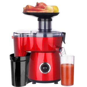 Hoffman10 In1 Juicer Blender Extractor Mincer Food Processor -Clear .