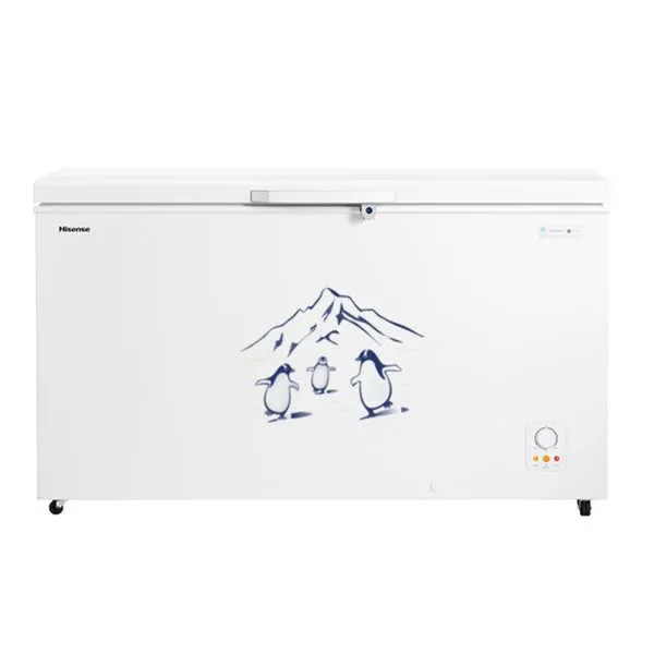 Hisense 550 liter Chest Freezer | FC-55DD4SA