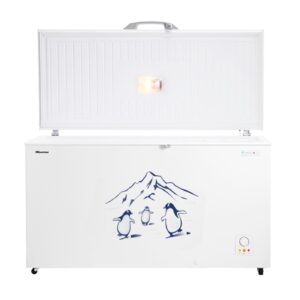 Hisense 550 liter Chest Freezer | FC-55DD4SA