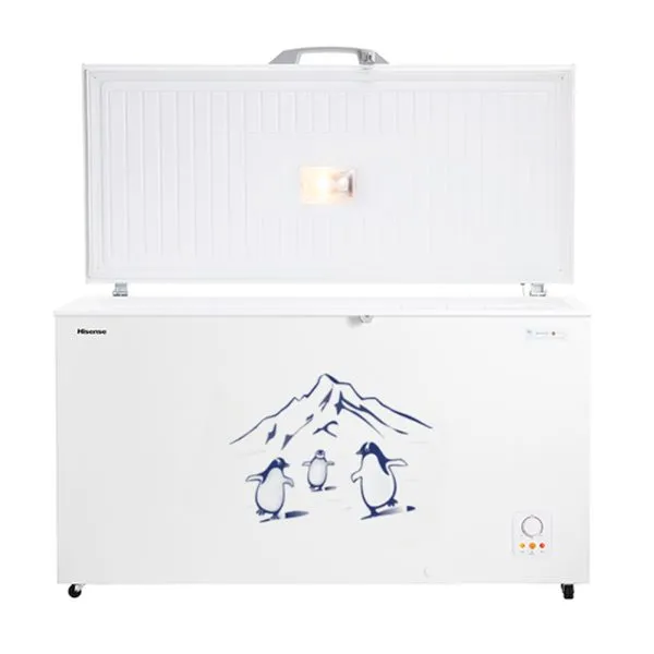 Hisense 550 liter Chest Freezer | FC-55DD4SA - Image 2