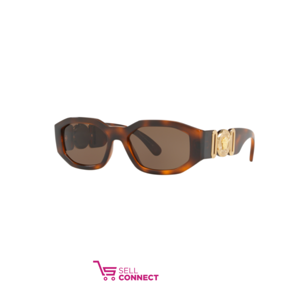 Versace Meṅdusa Biggie VE sunglasses