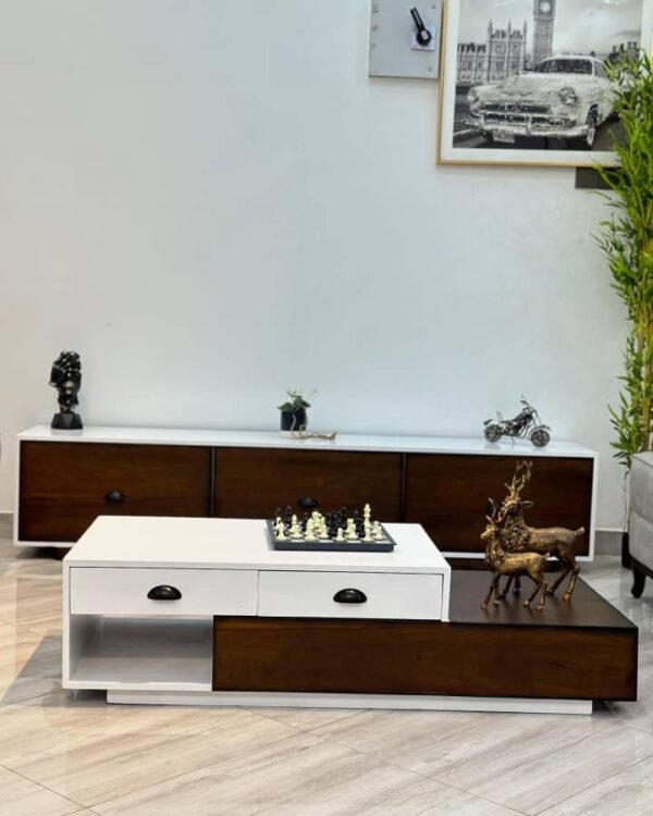 Modern Elegant Set of centre table and Tv stand - Image 5