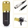 Professional Condenser Microphone