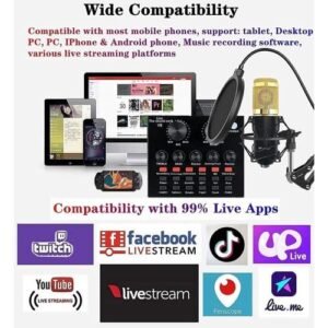Professional Condenser Microphone