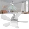 Bulb Fan , Ceiling fan light