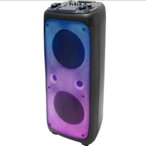 Sayona 12" Dual Rechargeable Professional Battery Speaker  (1 YR WRNTY)