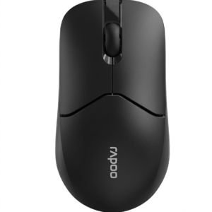 Rapoo 1510 Wireless Optical Mouse